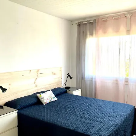 Palomar 6 *